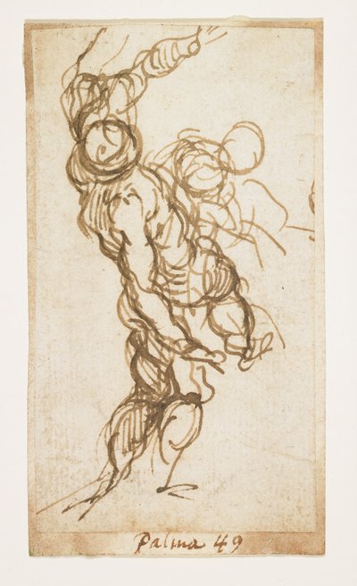 Male Figure Study by Palma Il Giovane